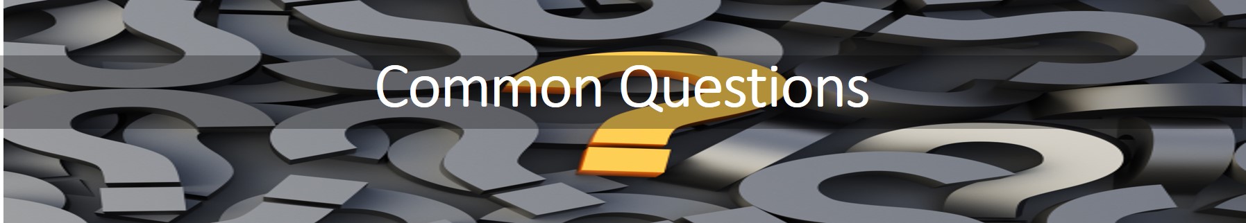 New About Us Common Questions